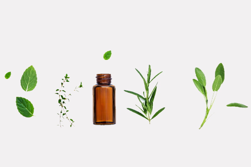plantarum-hydrolats-flacon-plantes-2
